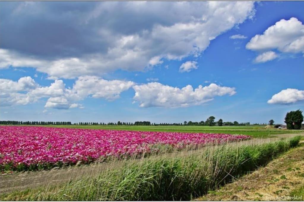 -nieuw- Luxe & Sfeervol Holiday home Tholen