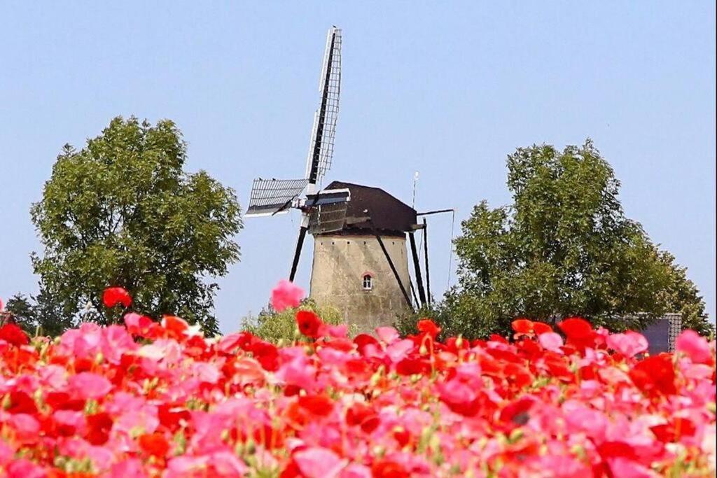 -nieuw- Luxe & Sfeervol Holiday home Tholen