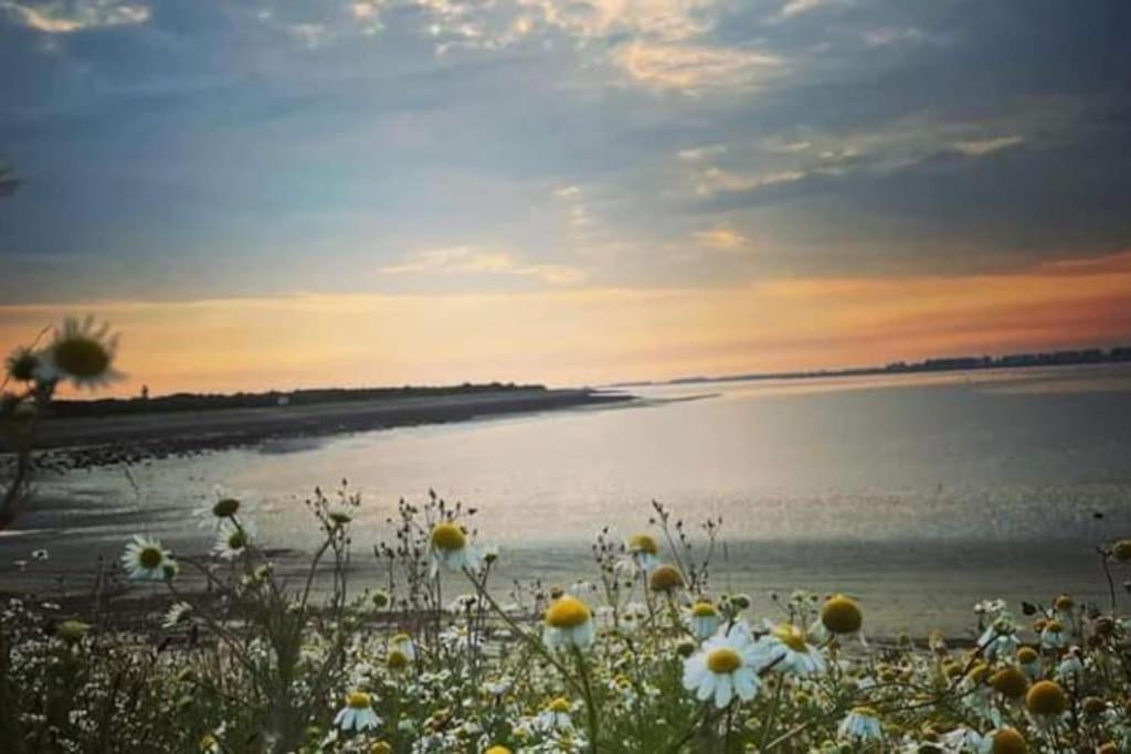 -nieuw- Luxe & Sfeervol Holiday home Tholen