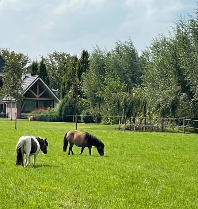 -nieuw- Luxe & Sfeervol
